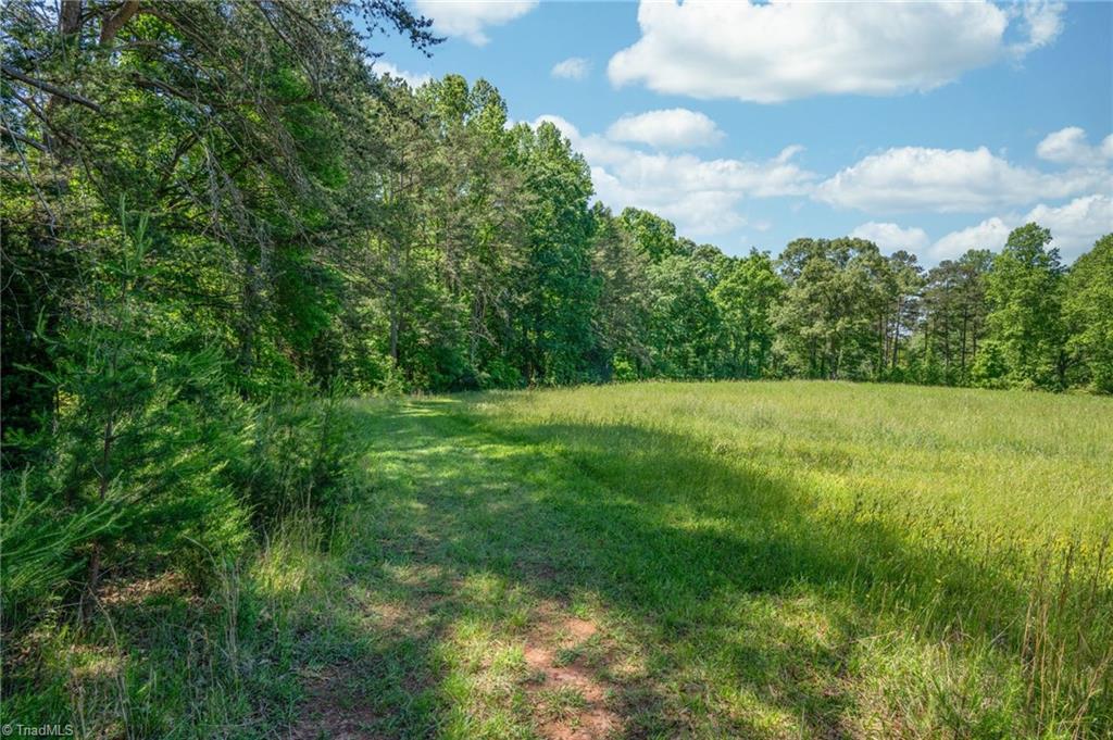 Twin Cedars Road, Yadkinville, North Carolina image 16