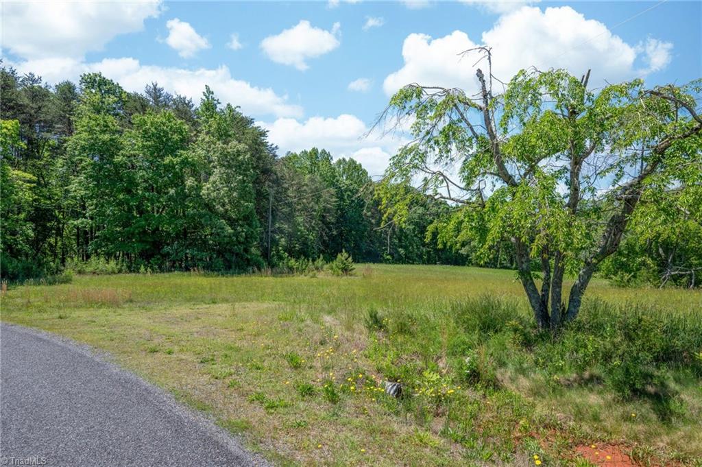 Twin Cedars Road, Yadkinville, North Carolina image 13