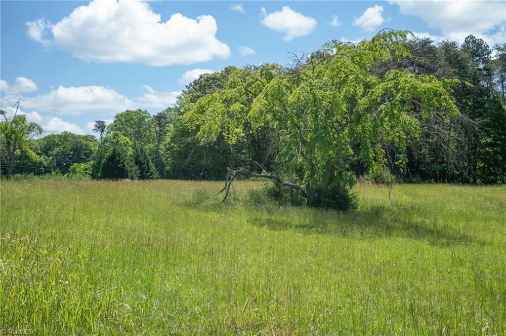 Twin Cedars Road, Yadkinville, North Carolina image 10