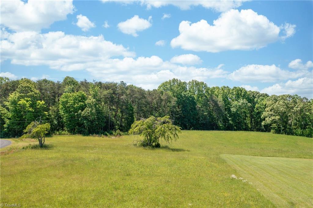Twin Cedars Road, Yadkinville, North Carolina image 4