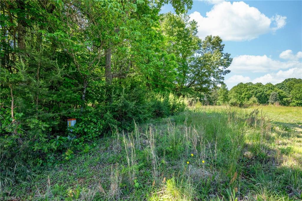 Twin Cedars Road, Yadkinville, North Carolina image 26