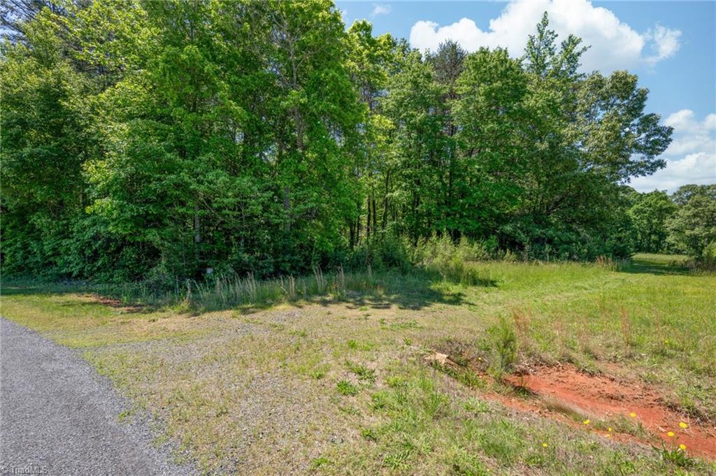 Twin Cedars Road, Yadkinville, North Carolina image 20