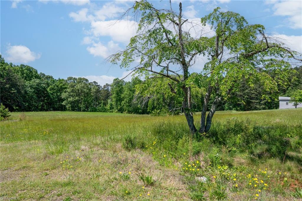 Twin Cedars Road, Yadkinville, North Carolina image 28