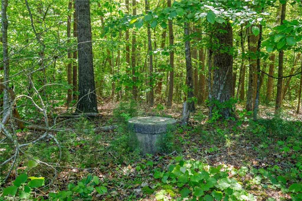 Twin Cedars Road, Yadkinville, North Carolina image 22