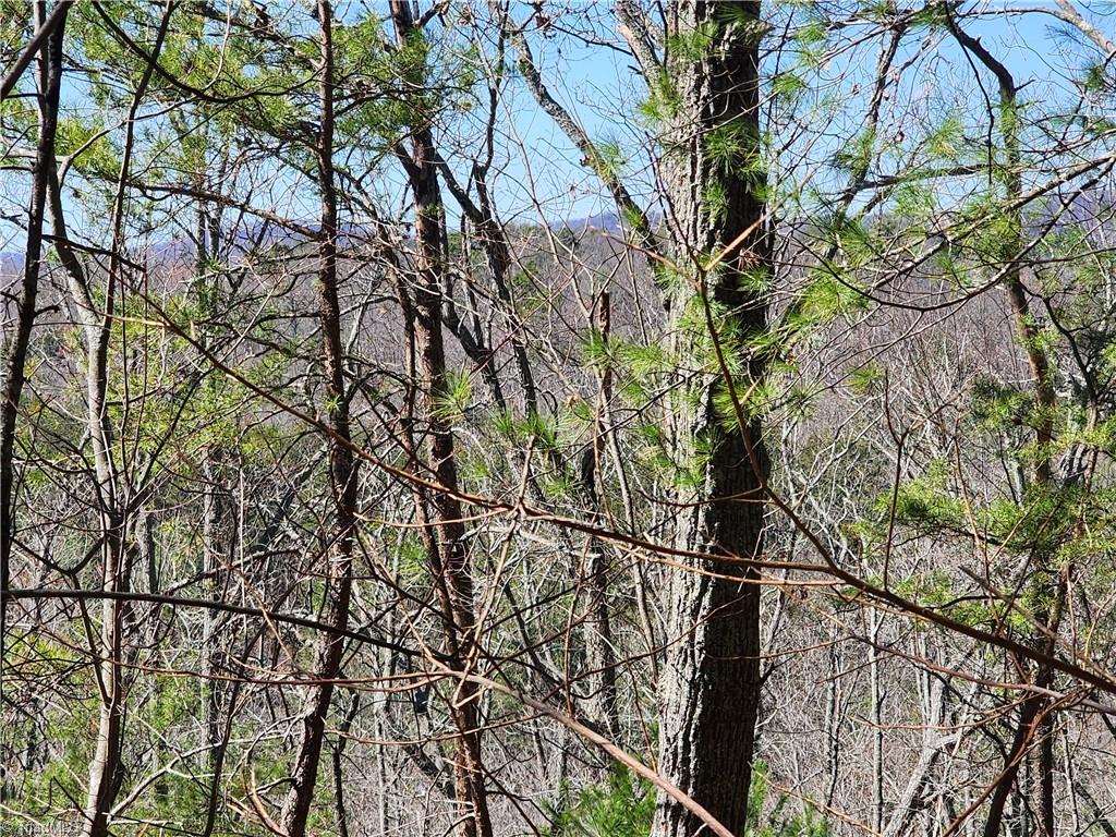 Us Highway 64 90, Taylorsville, North Carolina image 33