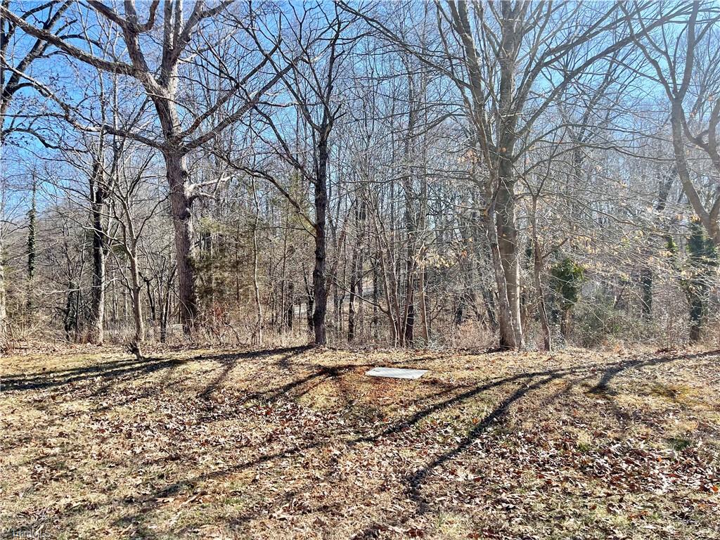 View Pfafftown, NC 27040 house