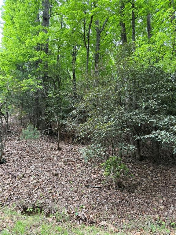Lot 35 Baldwin Drive, Lowgap, North Carolina image 6