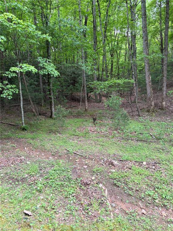 Lot 35 Baldwin Drive, Lowgap, North Carolina image 9