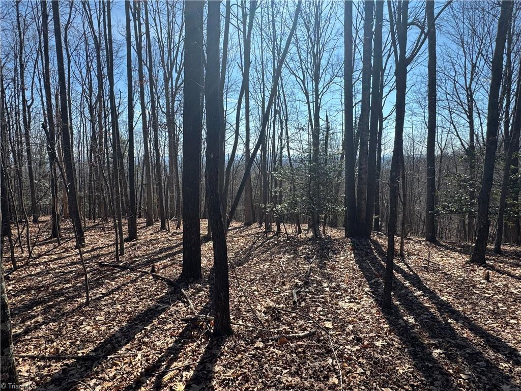 Lot 19 Overland Trail, Hays, North Carolina image 1