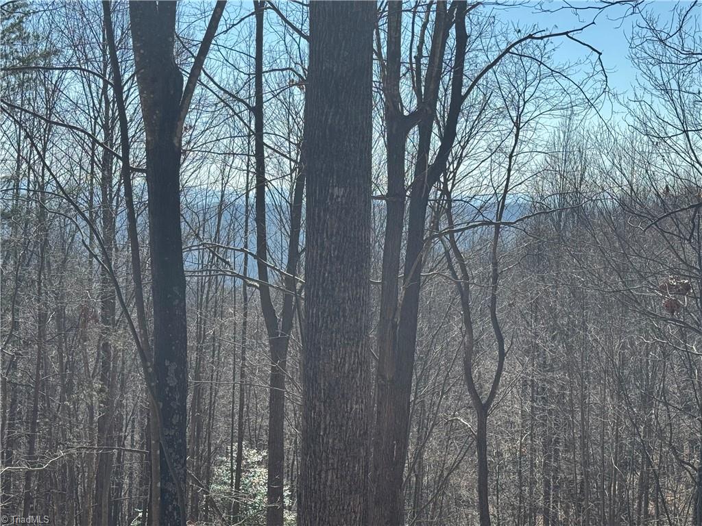 Lot 19 Overland Trail, Hays, North Carolina image 4