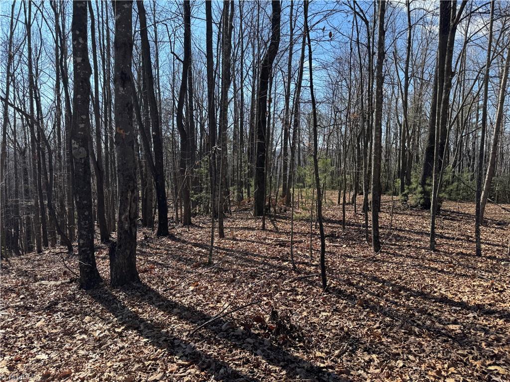 Lot 19 Overland Trail, Hays, North Carolina image 13