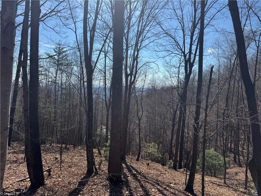 Lot 19 Overland Trail, Hays, North Carolina image 3