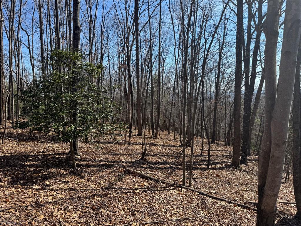 Lot 19 Overland Trail, Hays, North Carolina image 6