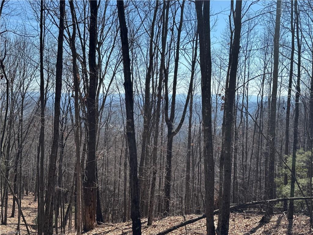 Lot 19 Overland Trail, Hays, North Carolina image 9
