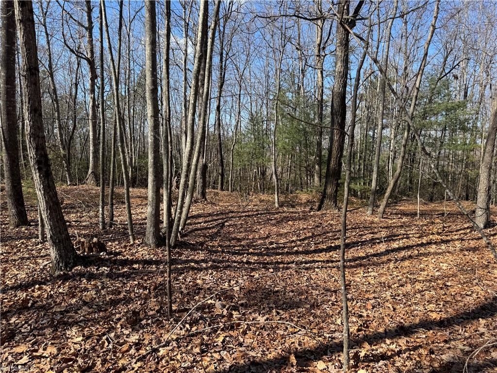 Lot 19 Overland Trail, Hays, North Carolina image 12