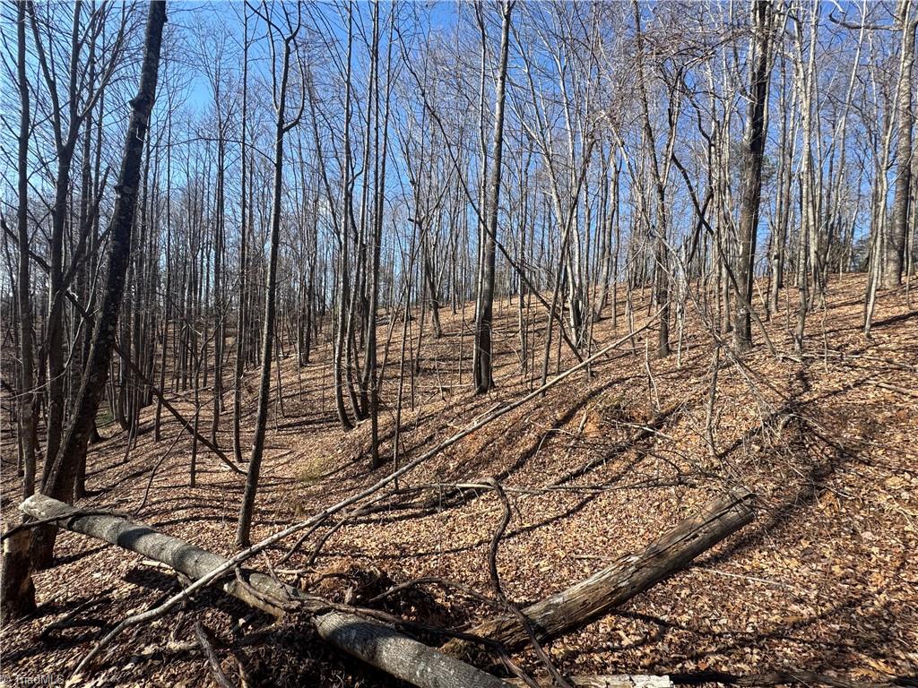 Lot 19 Overland Trail, Hays, North Carolina image 5