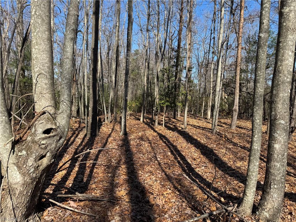 Lot 19 Overland Trail, Hays, North Carolina image 11