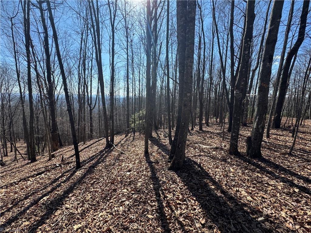Lot 19 Overland Trail, Hays, North Carolina image 10