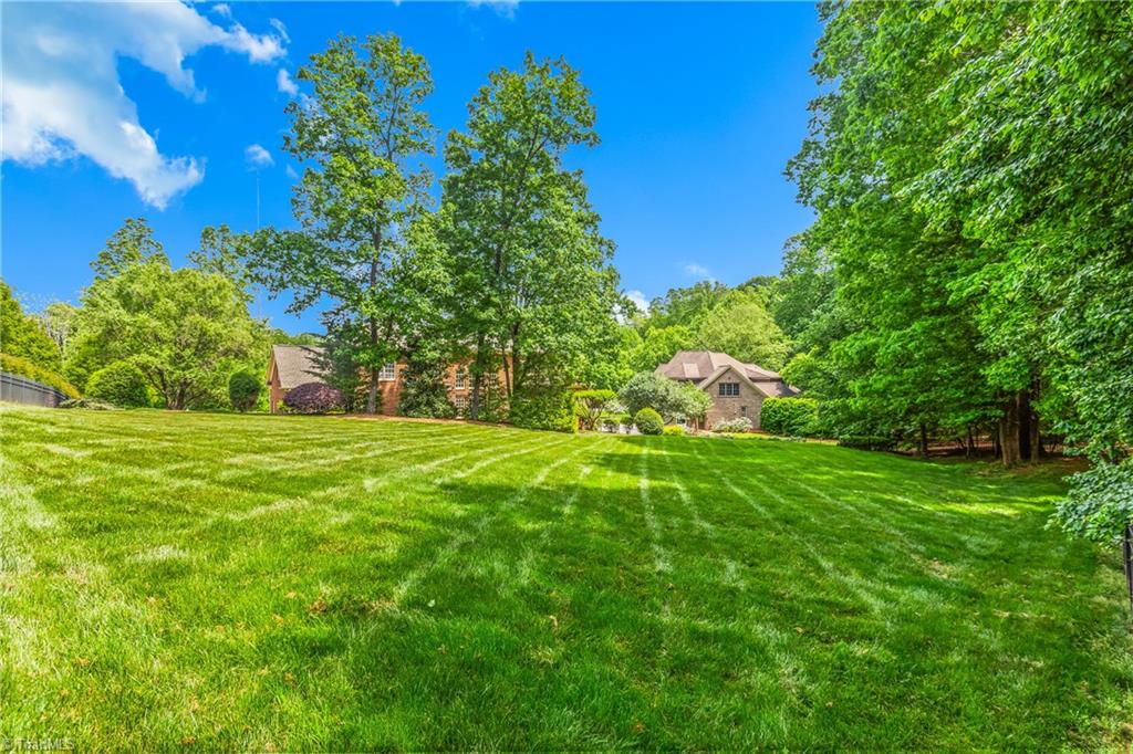 7107 Lake Henson Drive, Summerfield, North Carolina image 50
