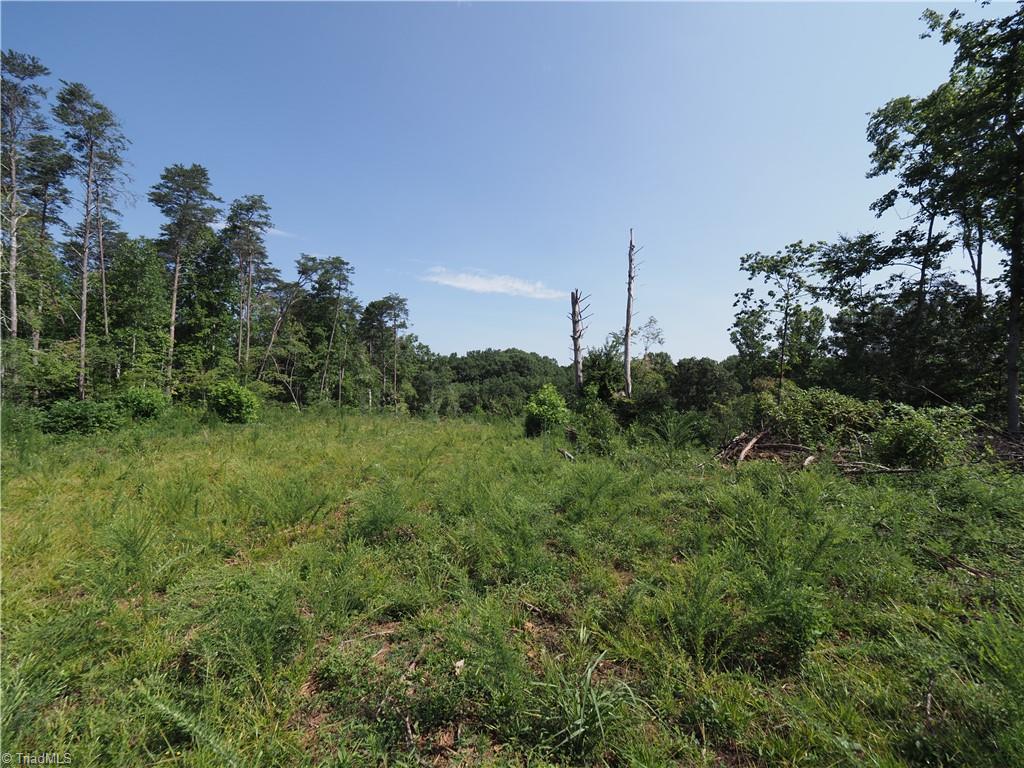 21.6 Acres Rockford Road, Dobson, North Carolina image 28