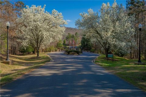 Vacant Land For Sale - 288 Emerald Isle Court<br/> Lexington, NC 27292