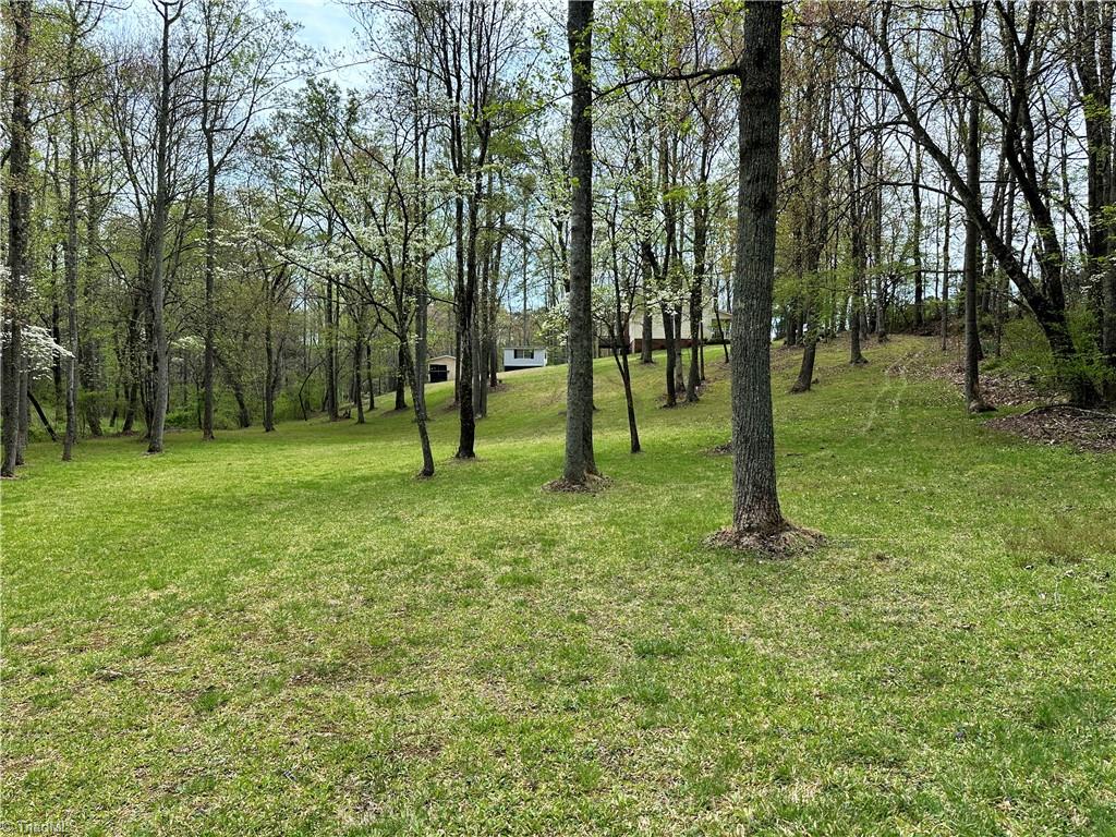 211 Service Road, Pilot Mountain, North Carolina image 10