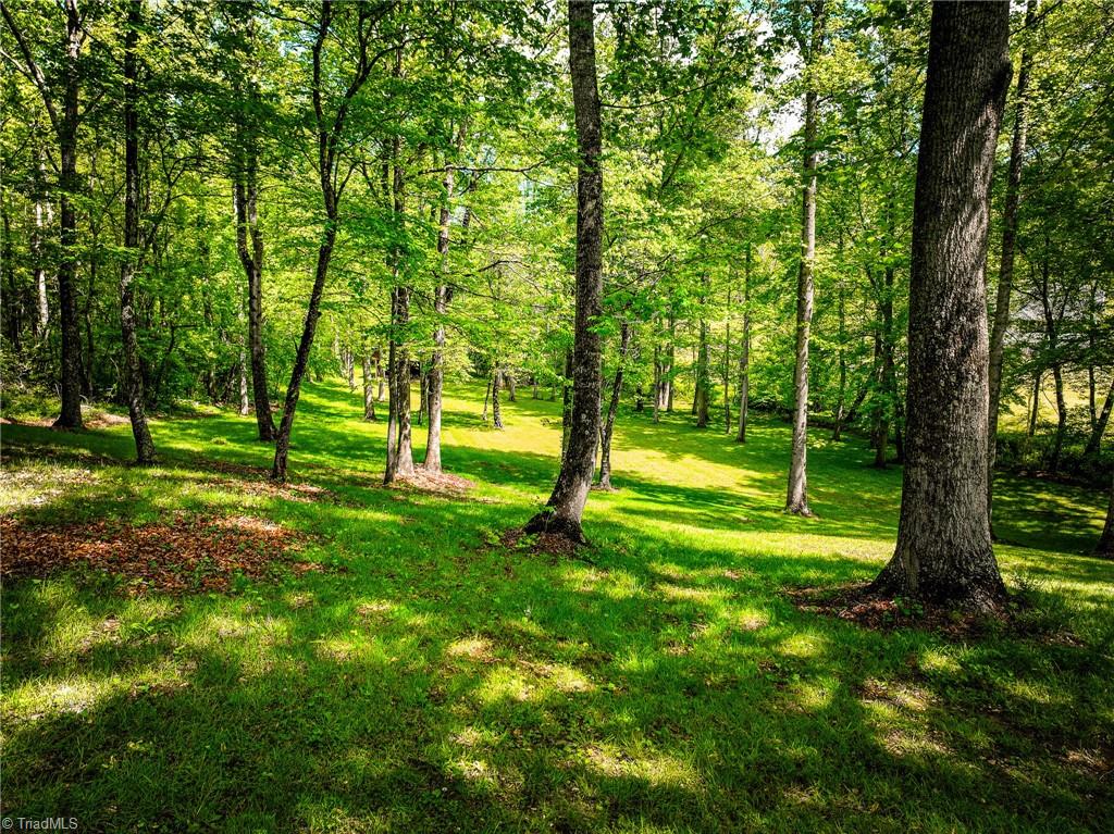 211 Service Road, Pilot Mountain, North Carolina image 9