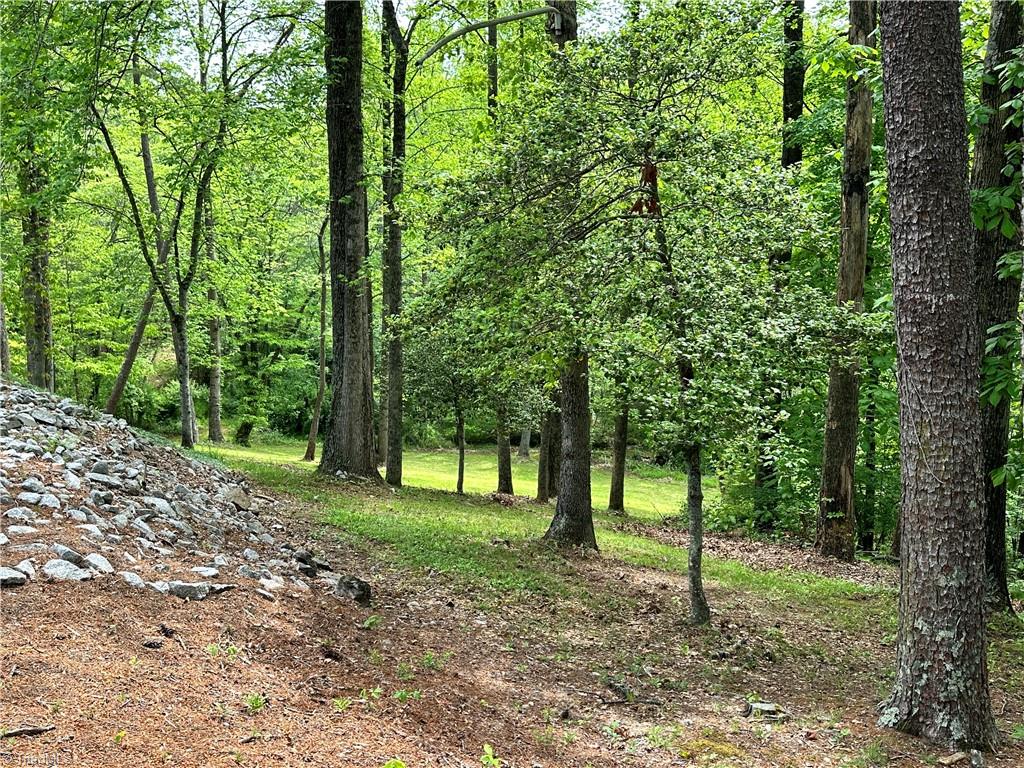 211 Service Road, Pilot Mountain, North Carolina image 12