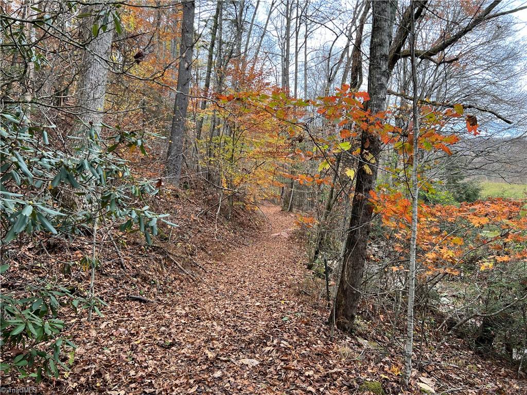 TBD Horse Branch Road, Lenoir, North Carolina image 4