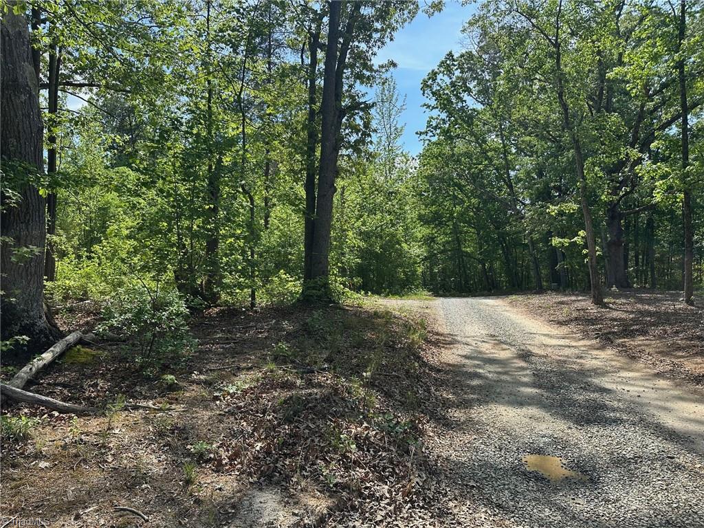 Pleasant Grove Union School Road, Burlington, North Carolina image 3