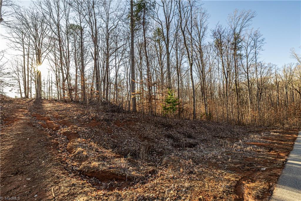 7607 Skippers Trace, Oak Ridge, North Carolina image 3