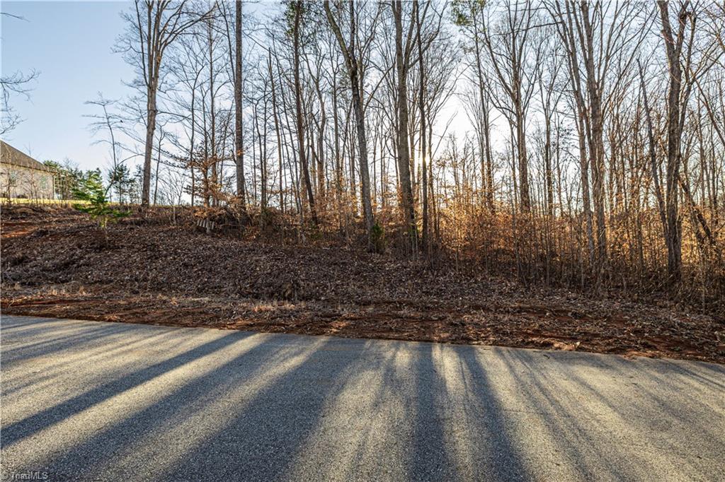 7607 Skippers Trace, Oak Ridge, North Carolina image 2