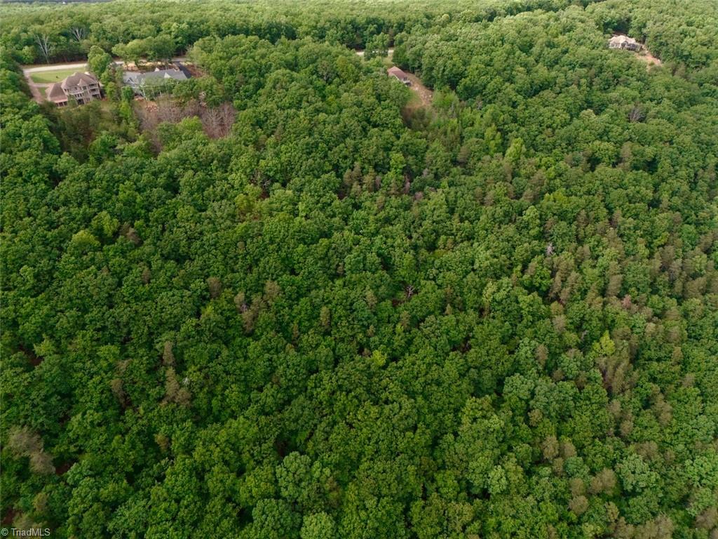 1552 Sierra Trace Road, Denton, North Carolina image 5