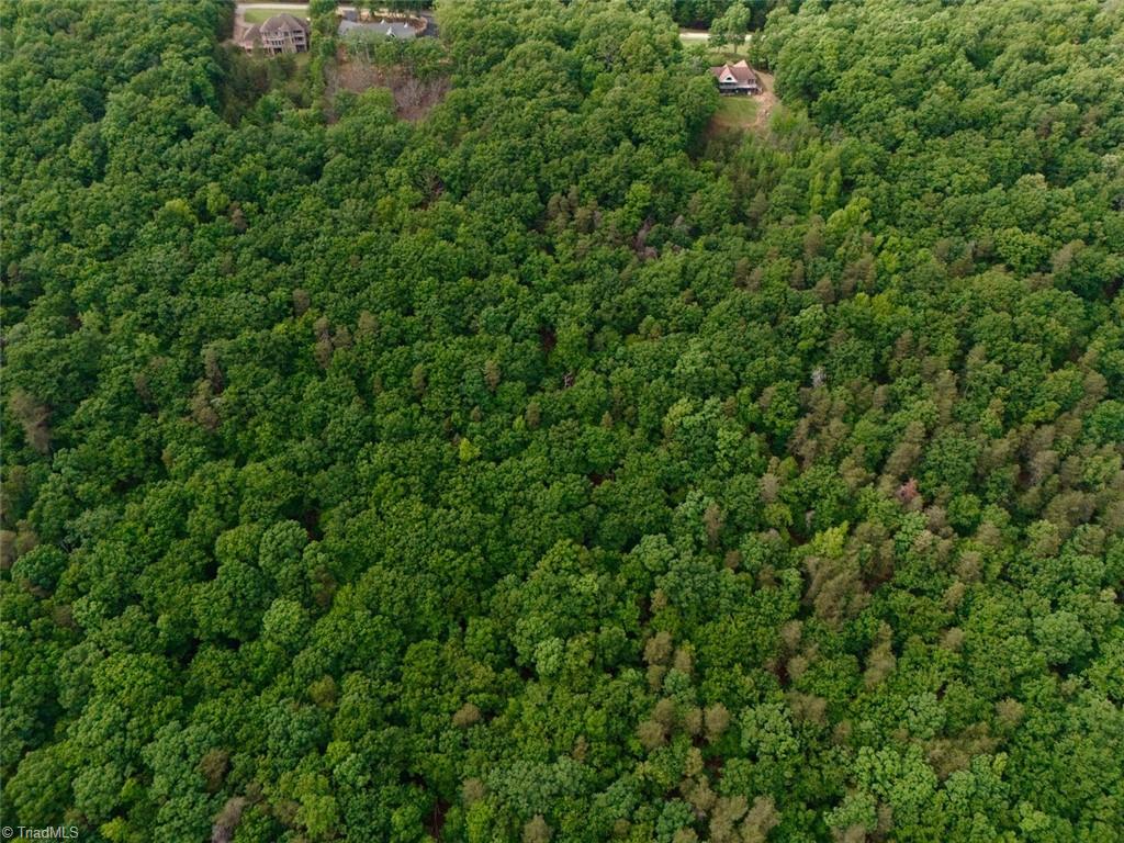 1552 Sierra Trace Road, Denton, North Carolina image 4