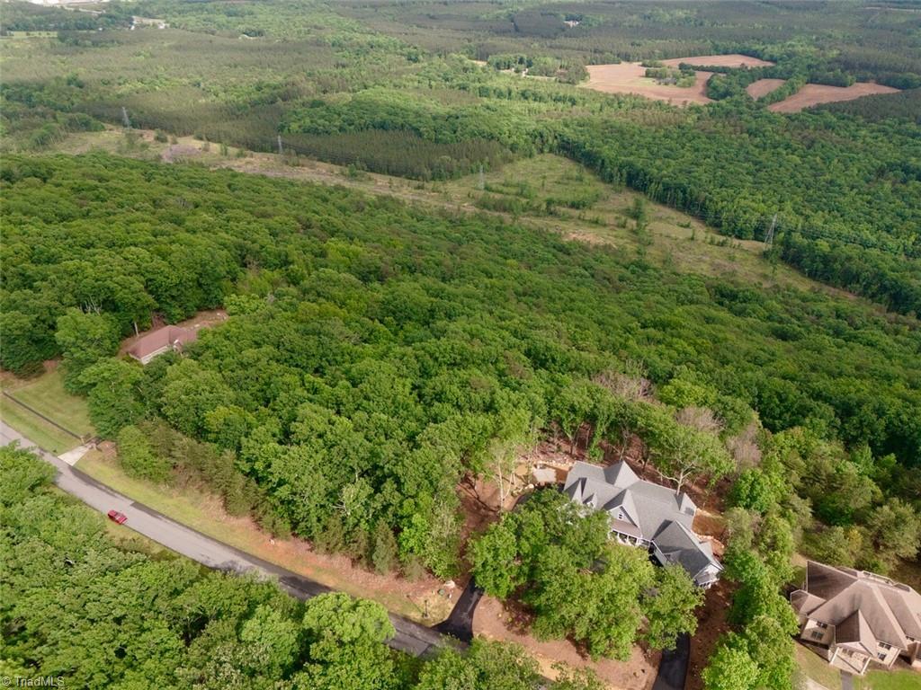 1552 Sierra Trace Road, Denton, North Carolina image 8