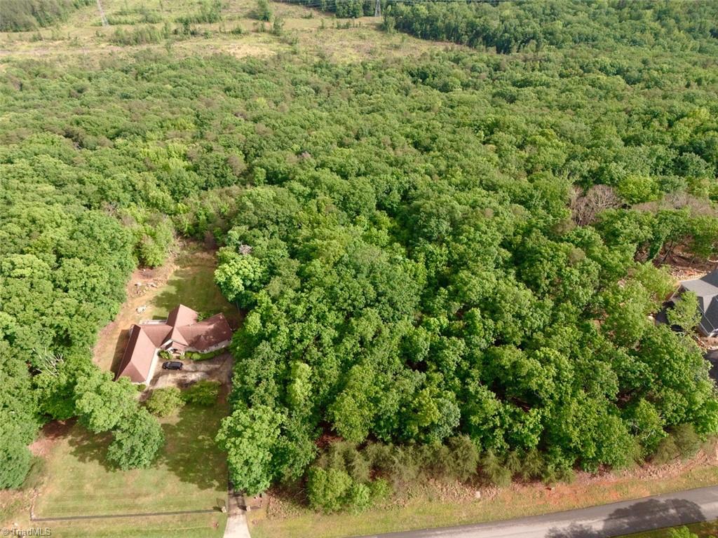 1552 Sierra Trace Road, Denton, North Carolina image 1