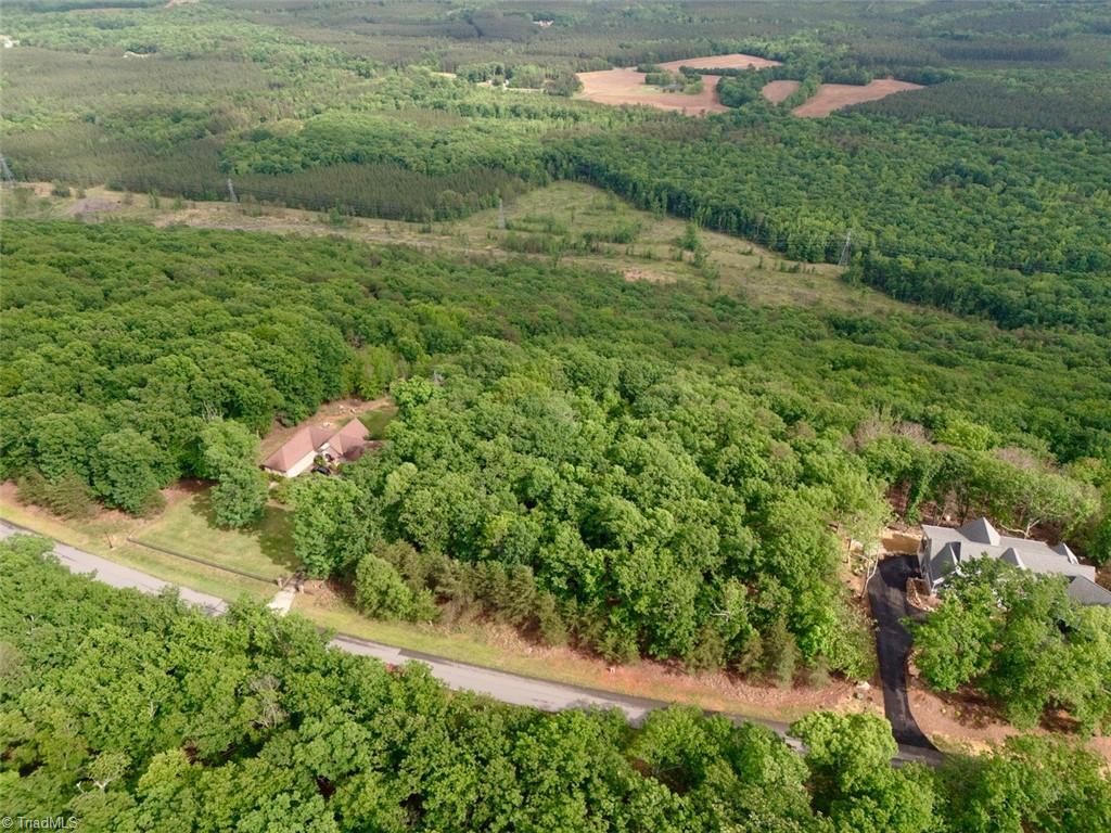 1552 Sierra Trace Road, Denton, North Carolina image 9