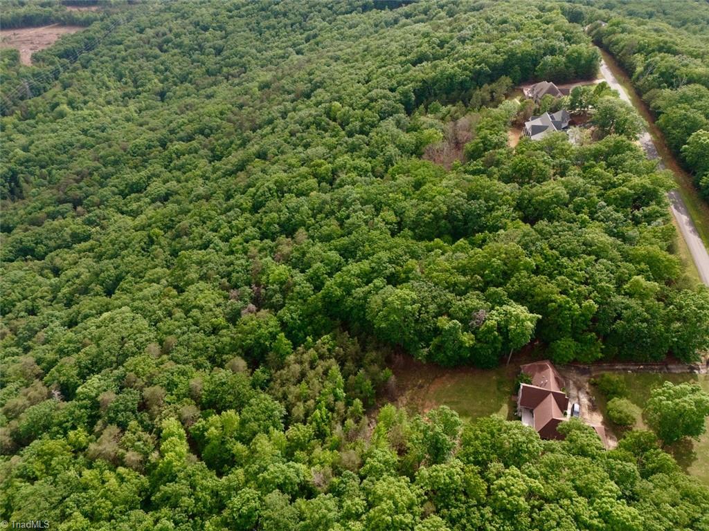 1552 Sierra Trace Road, Denton, North Carolina image 15