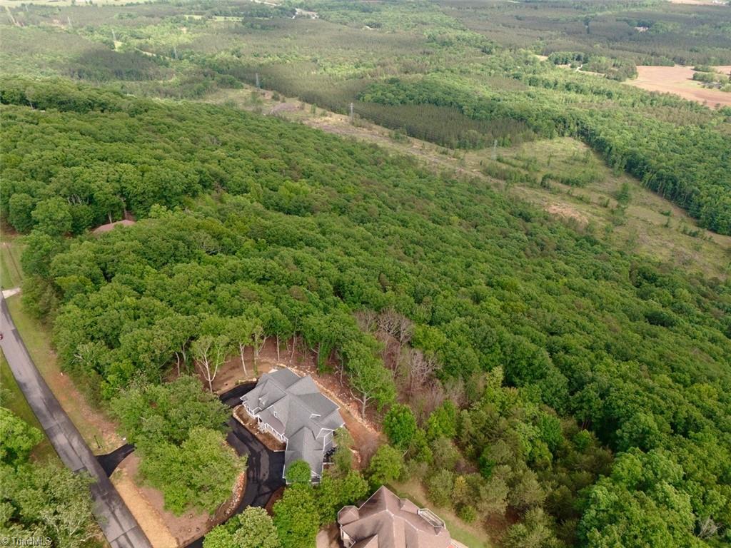 1552 Sierra Trace Road, Denton, North Carolina image 7