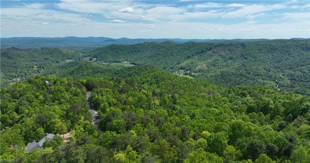 LOT 112 Buck Mountain Road, Purlear, North Carolina image 38