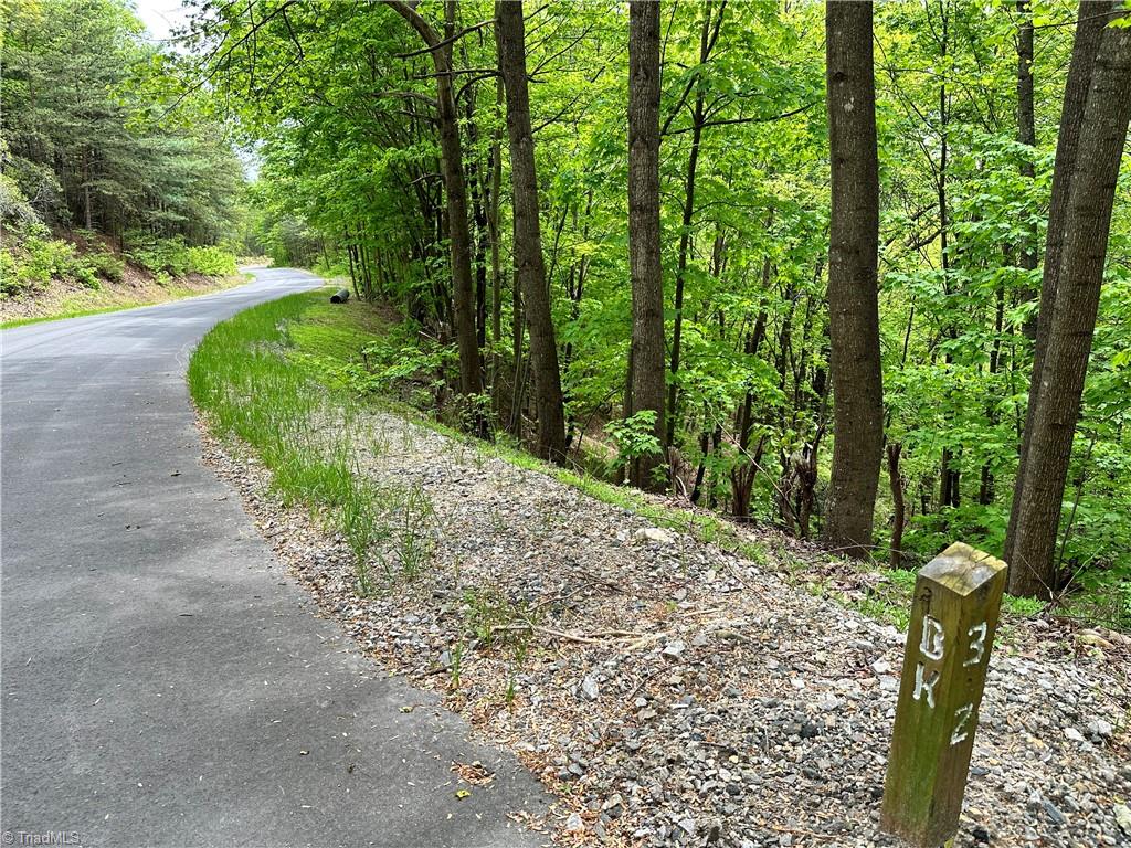 LOT 112 Buck Mountain Road, Purlear, North Carolina image 2