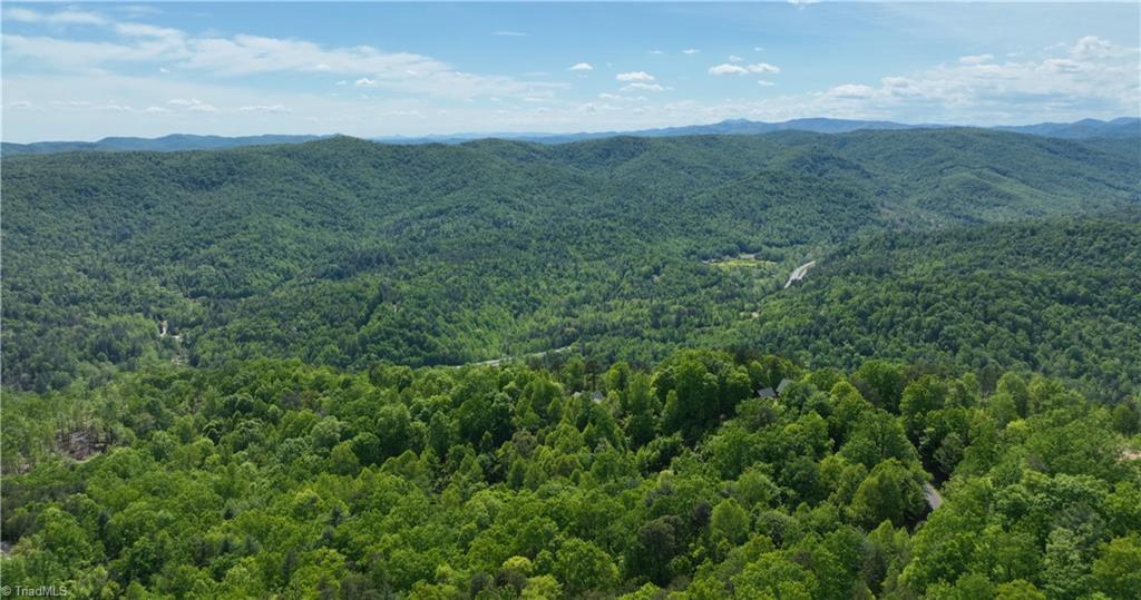 LOT 112 Buck Mountain Road, Purlear, North Carolina image 39