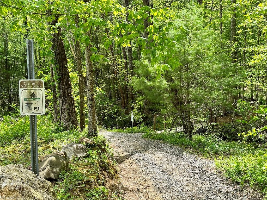 LOT 112 Buck Mountain Road, Purlear, North Carolina image 25