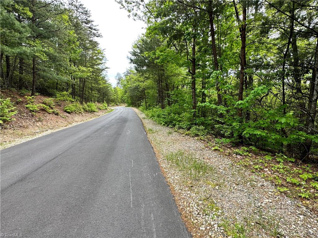 LOT 112 Buck Mountain Road, Purlear, North Carolina image 14