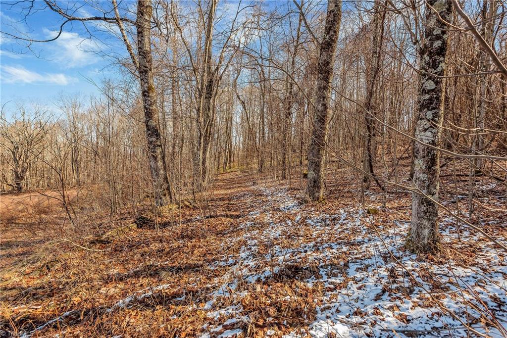 TBD Roaring Branch Road, Lansing, North Carolina image 4