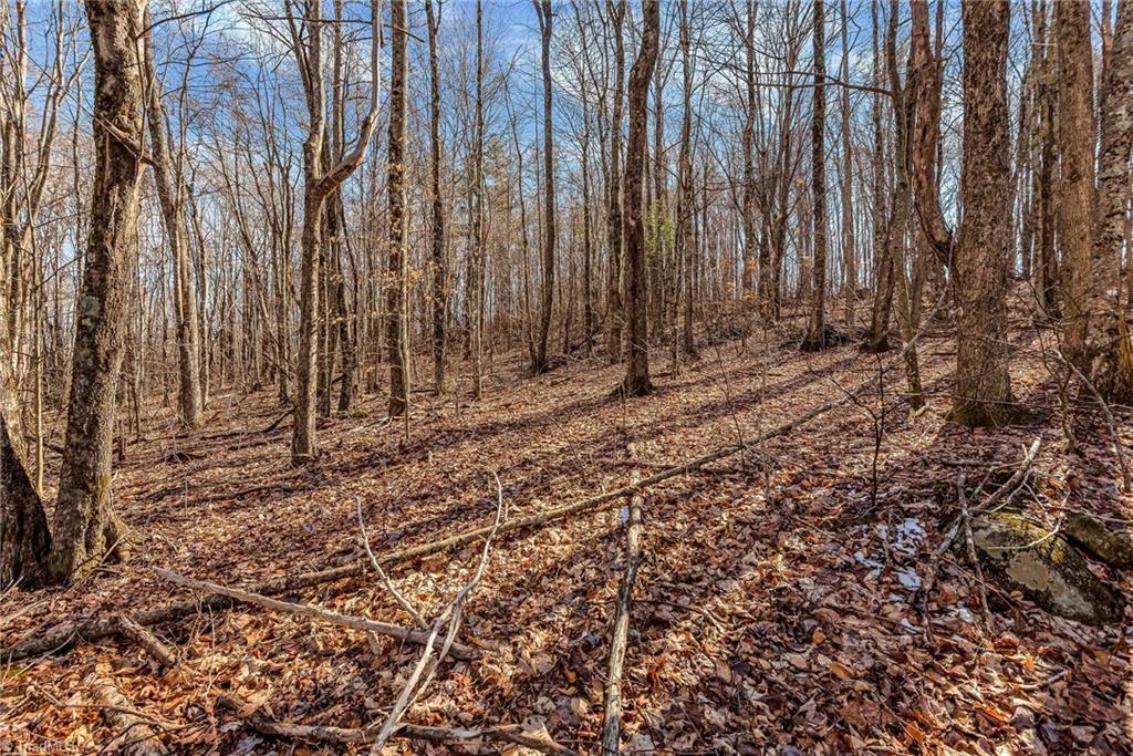 TBD Roaring Branch Road, Lansing, North Carolina image 16