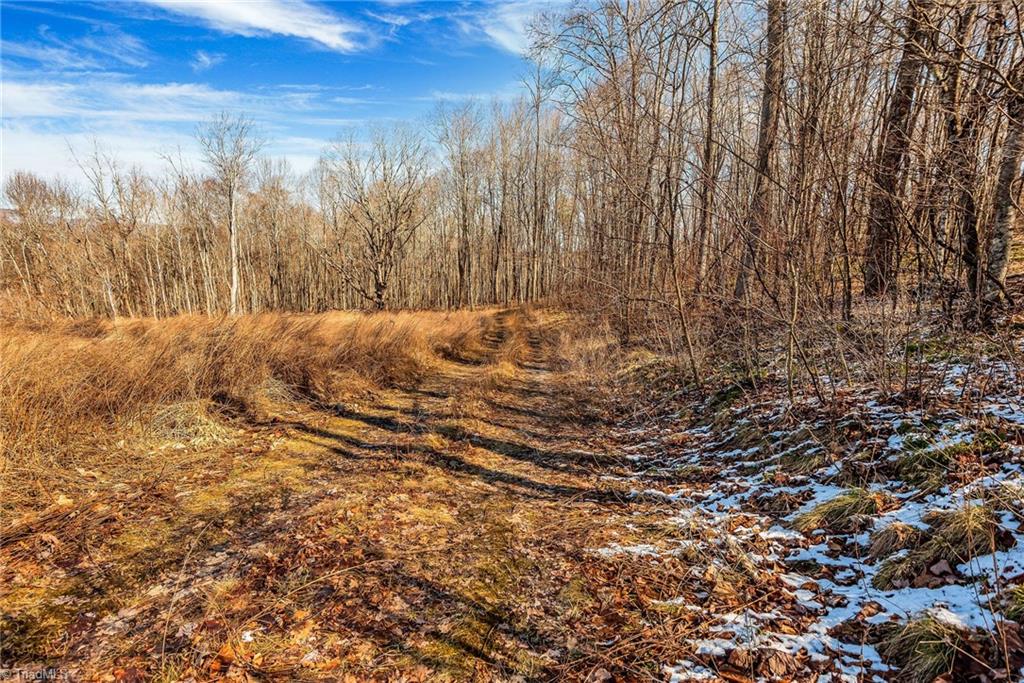 TBD Roaring Branch Road, Lansing, North Carolina image 27