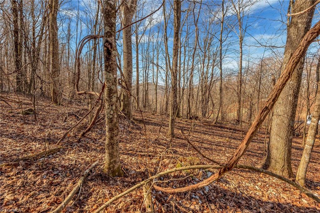 TBD Roaring Branch Road, Lansing, North Carolina image 15