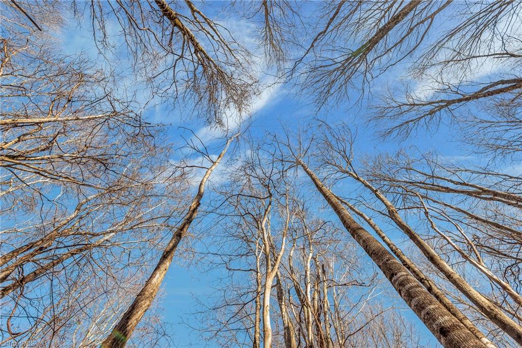 TBD Roaring Branch Road, Lansing, North Carolina image 18