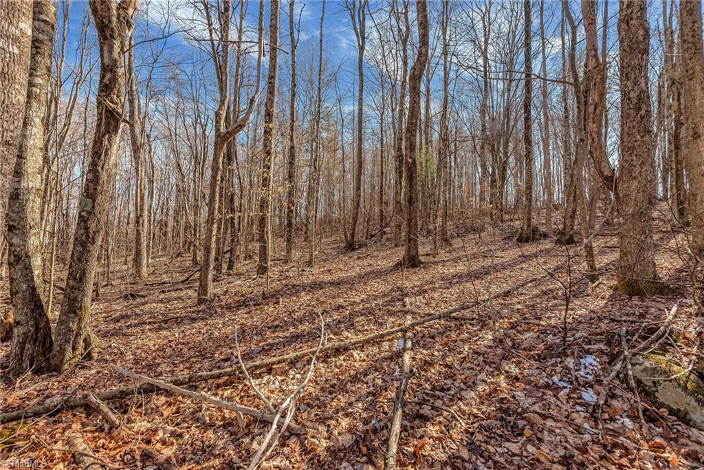 TBD Roaring Branch Road, Lansing, North Carolina image 17